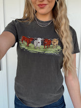 Load image into Gallery viewer, THE HIGHLAND HERD
