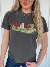 Load image into Gallery viewer, THE HIGHLAND HERD

