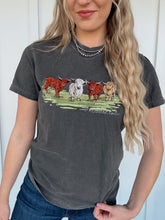 Load image into Gallery viewer, THE HIGHLAND HERD
